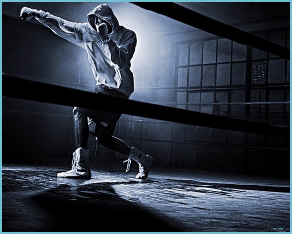 Boxing Wallpaper HD Für Android Herunterladen
