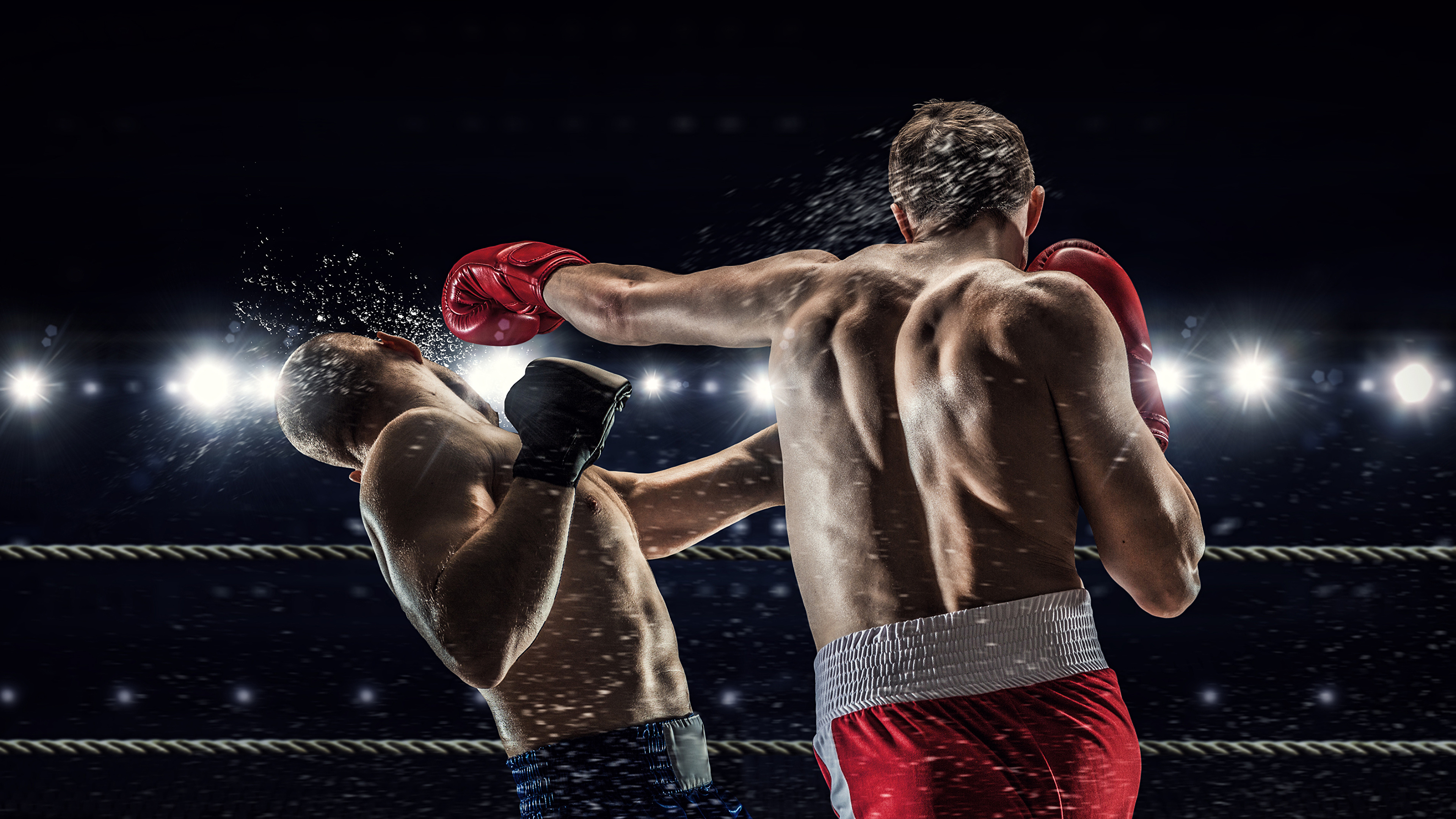 boxing HD wallpaper, background