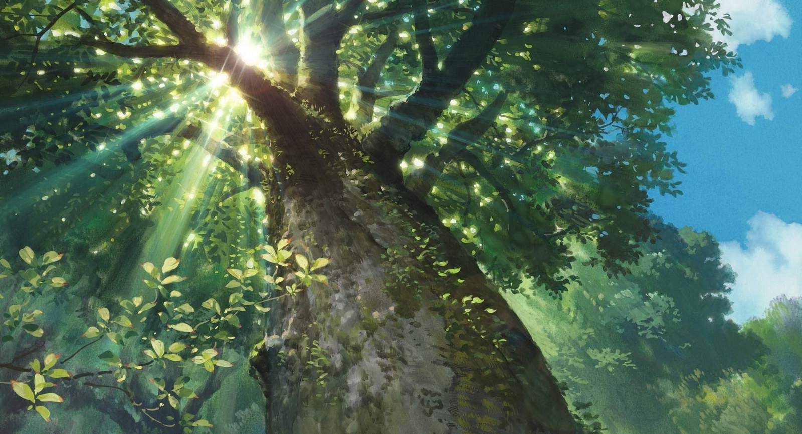 nature sunlight trees sun rays worms eye view studio ghibli karigurashi no arrietty wallpaper