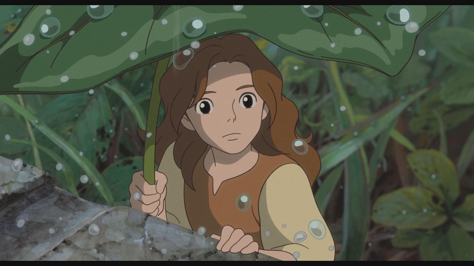 Ghibli Blog: Studio Ghibli, Animation and the Movies: Photo no Arrietty (The Borrower Arrietty)