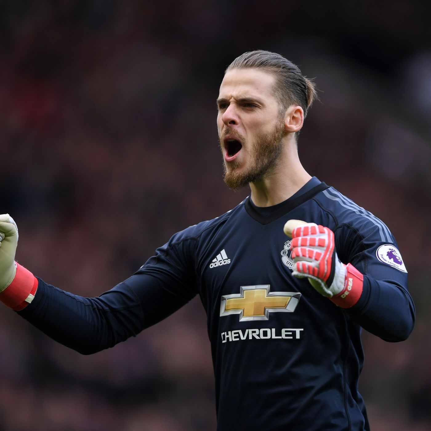 Top Goalkeeper Picks For Official Fantasy Premier League 2018 19 Manage Alone
