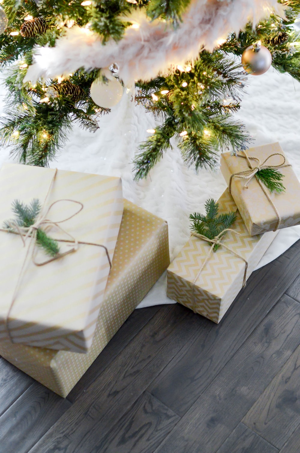 four gift boxes under Christmas tree photo