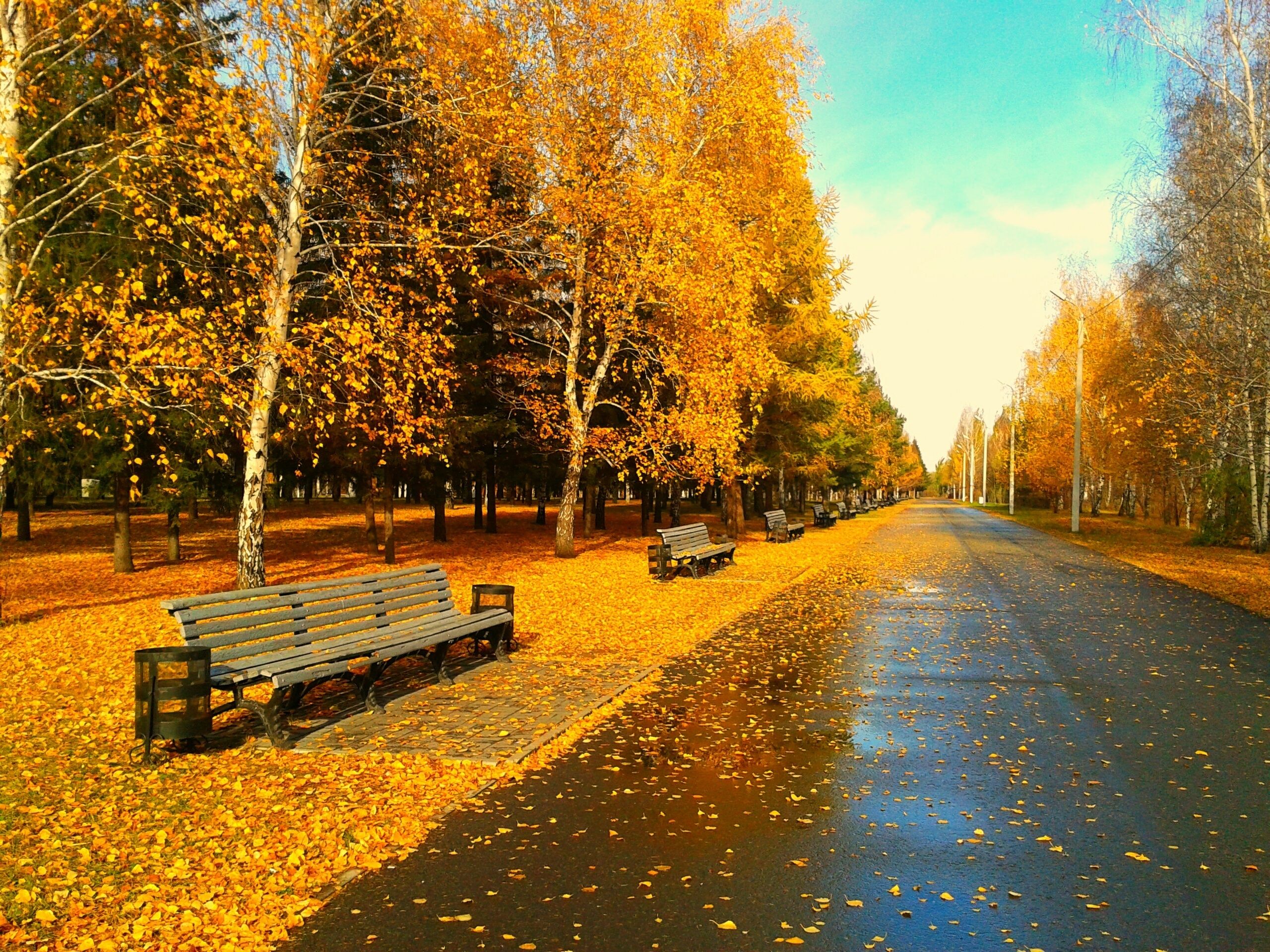 sunshine follows the rain. Autumn wallpaper hd, Scenery wallpaper, Scenery