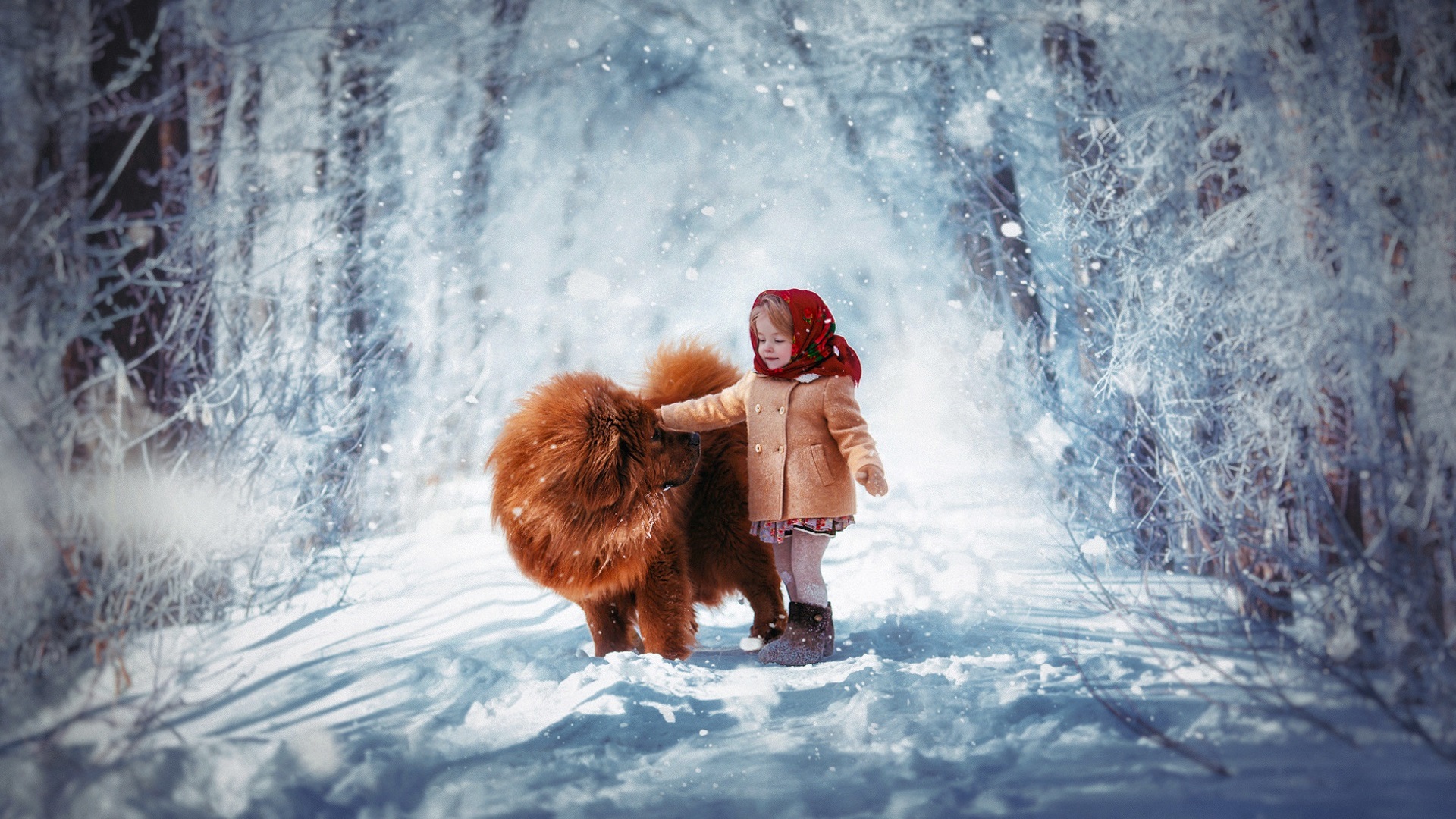 Wallpaper Cute child girl and dog in the winter, thick snow, trees 1920x1200 HD Picture, Image