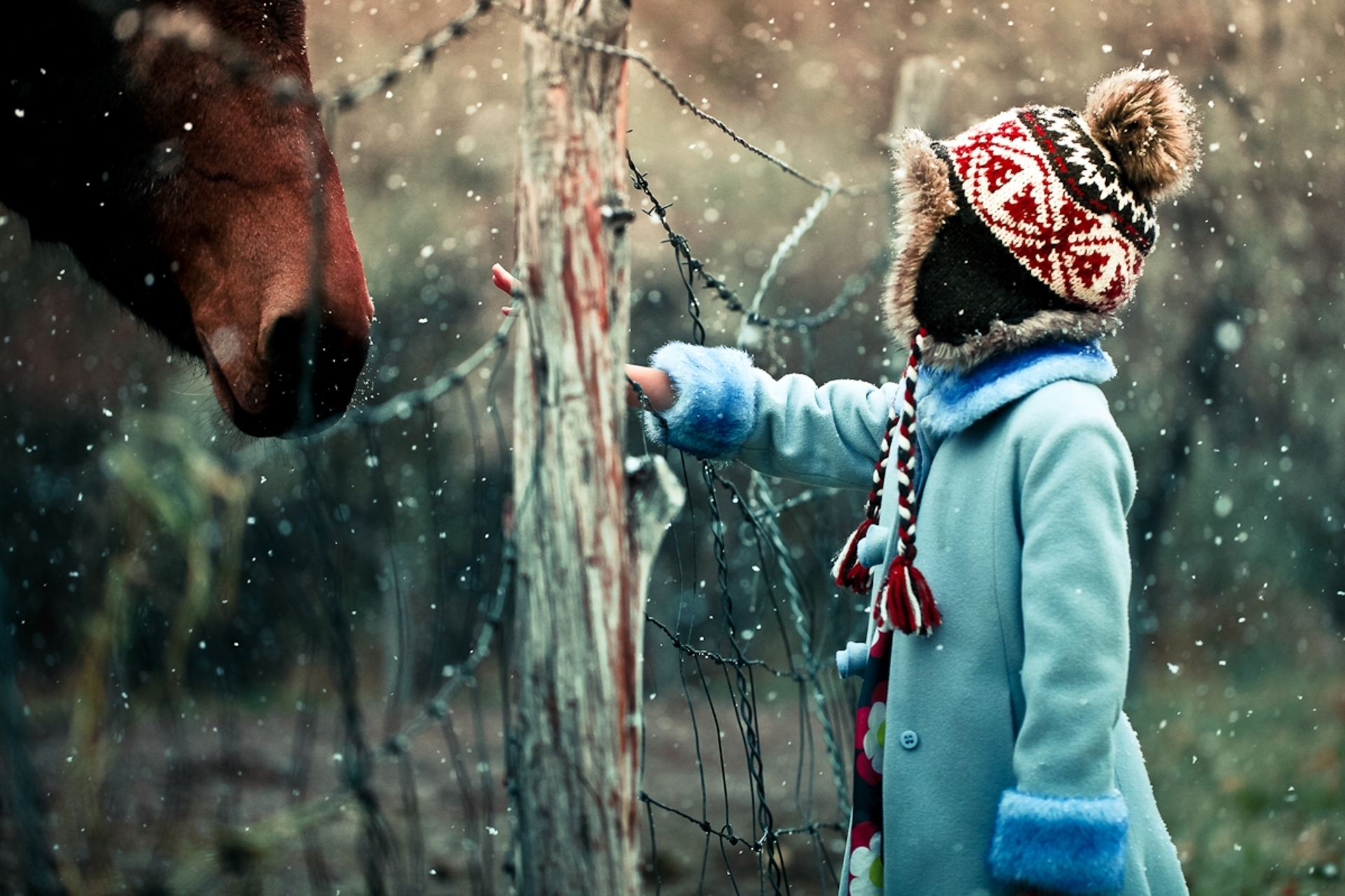 Wallpaper, child, horse, winter, snow, Curiosity 1920x1280