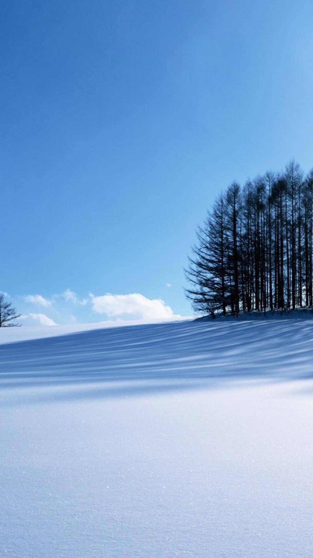 Winter Landscape Mobile Wallpapers - Wallpaper Cave
