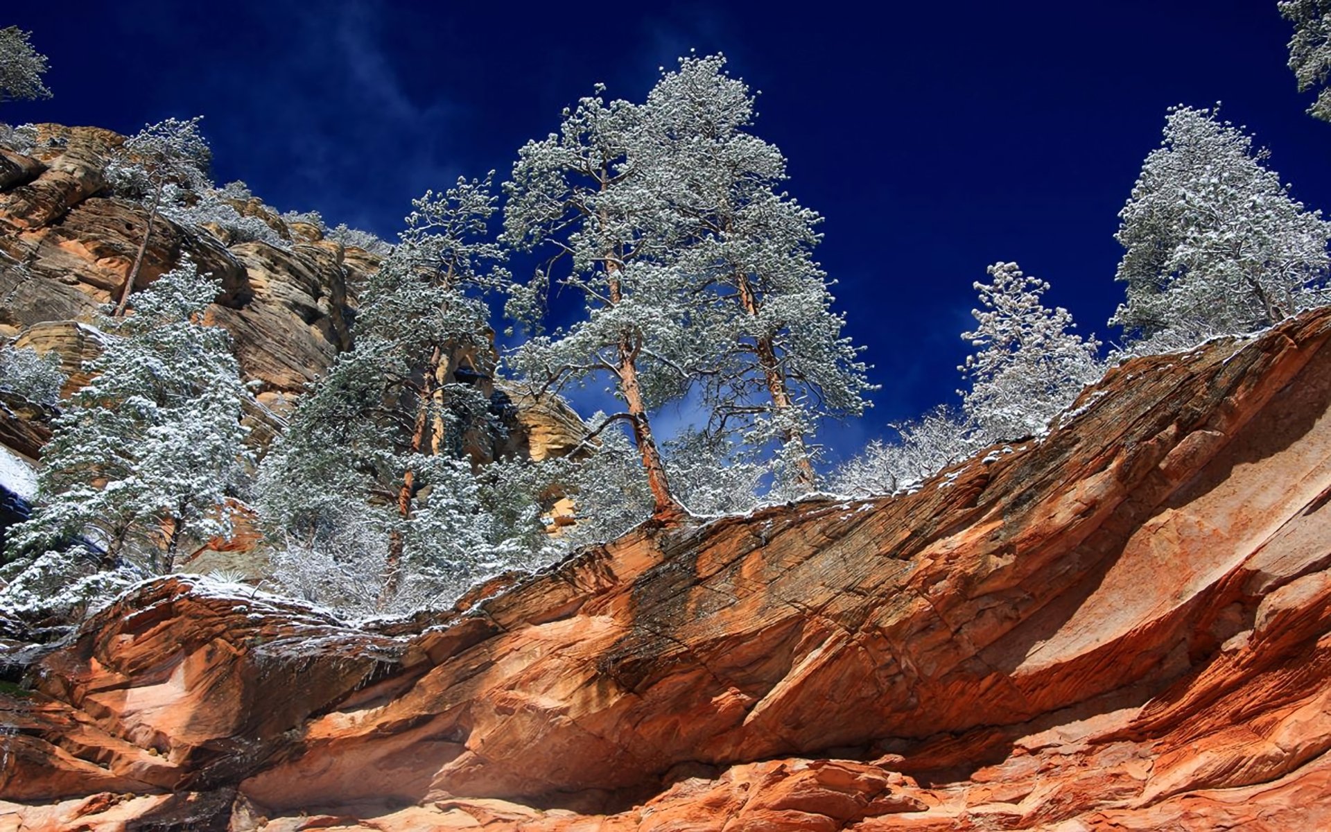 Winter at Oak Creek Canyon in Sedona, Arizona HD Wallpaper