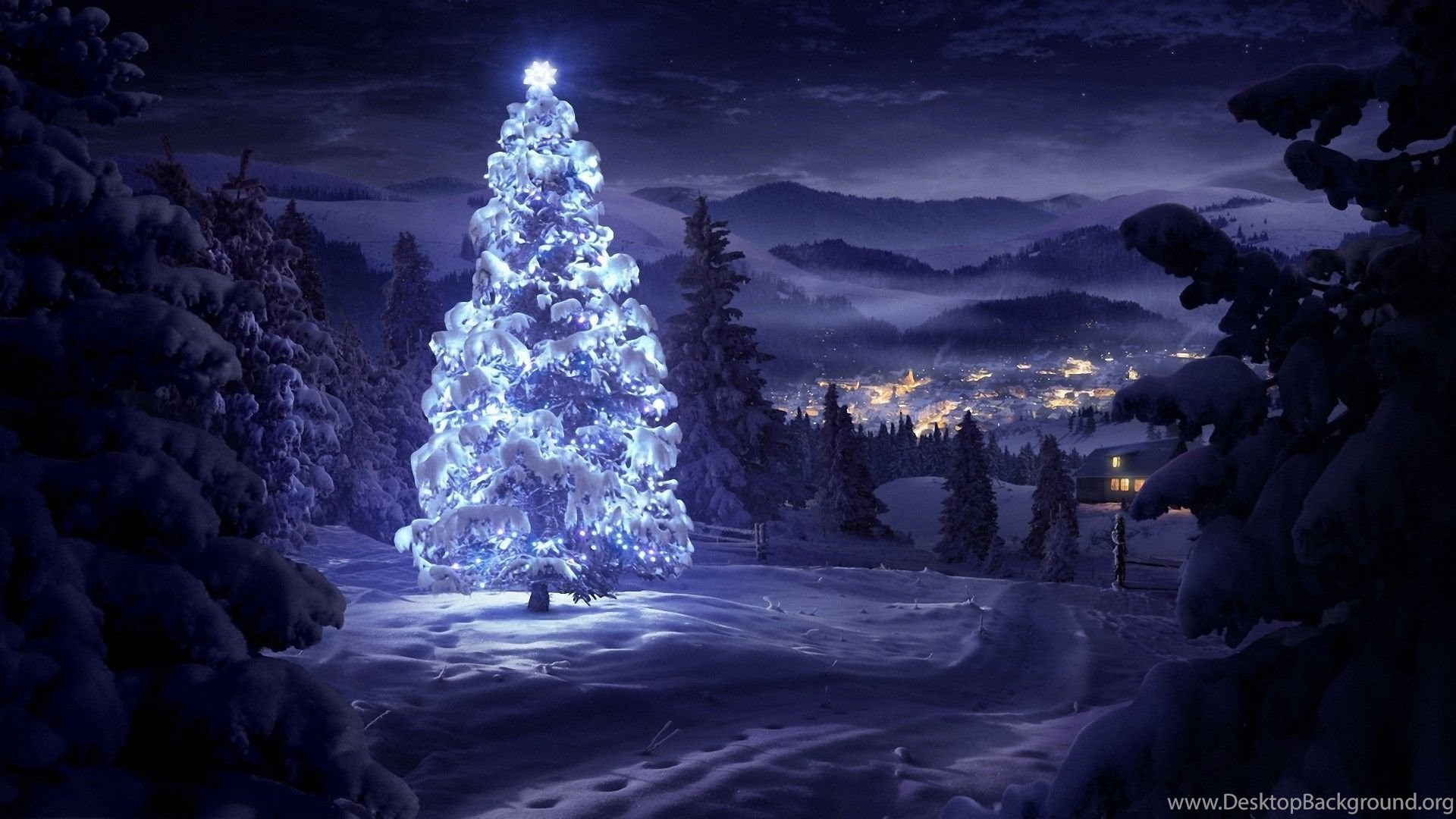 Christmas Tree In The Snow, Winter, Forest, Decoration, Holidays. Desktop Background