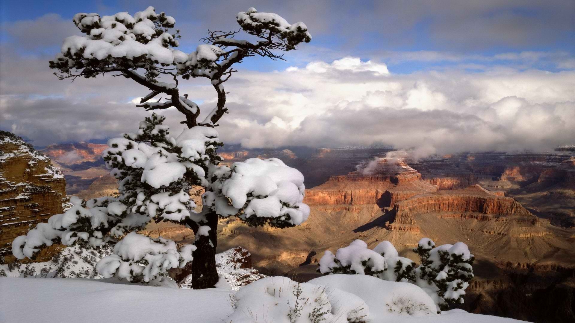 Download Wallpaper, Download 2560x1440 light world point arizona grand canyon morning national park 1920x1080 wallpaper People HD Wallpaper, Hi Res People Wallpaper, High Definition Wallpaper