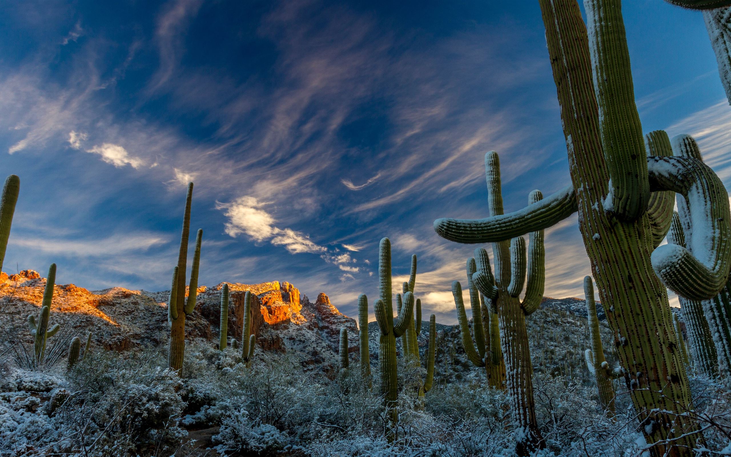 Arizona Winter Wallpapers Wallpaper Cave