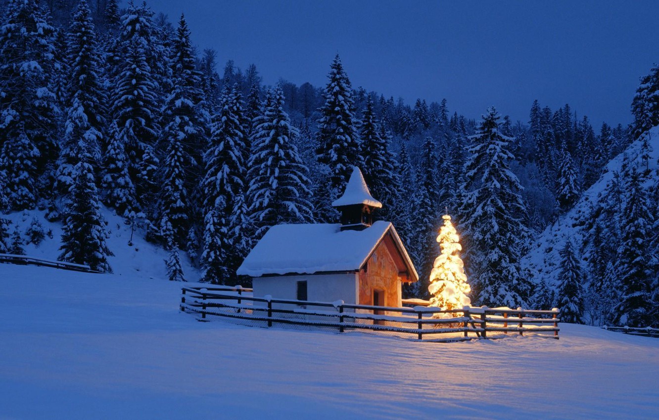 Wallpaper winter, forest, night, Nature, Landscape, chapel, Christmas tree image for desktop, section пейзажи