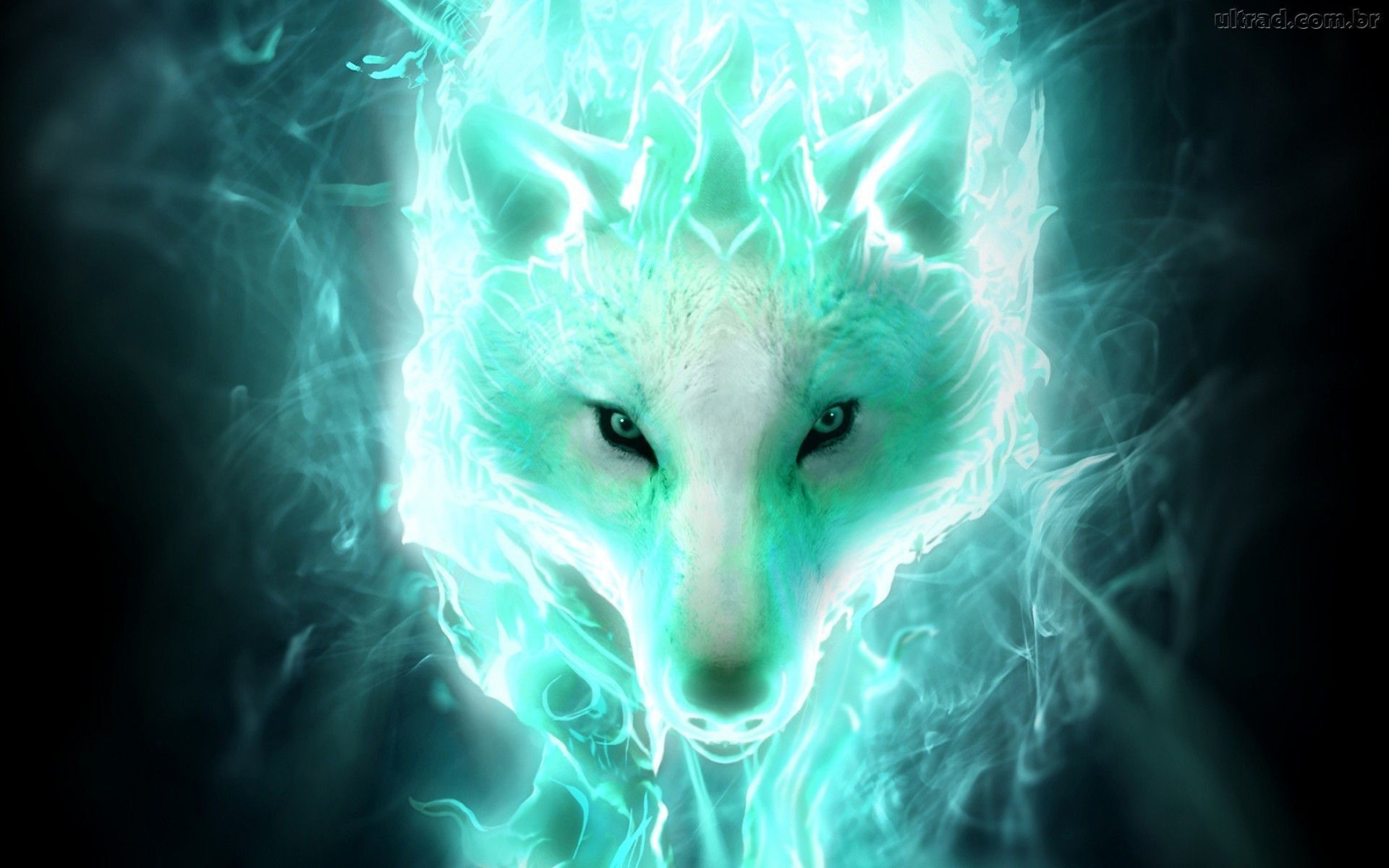 Wolf wallpaper ideas. wolf wallpaper, wolf, wolf art