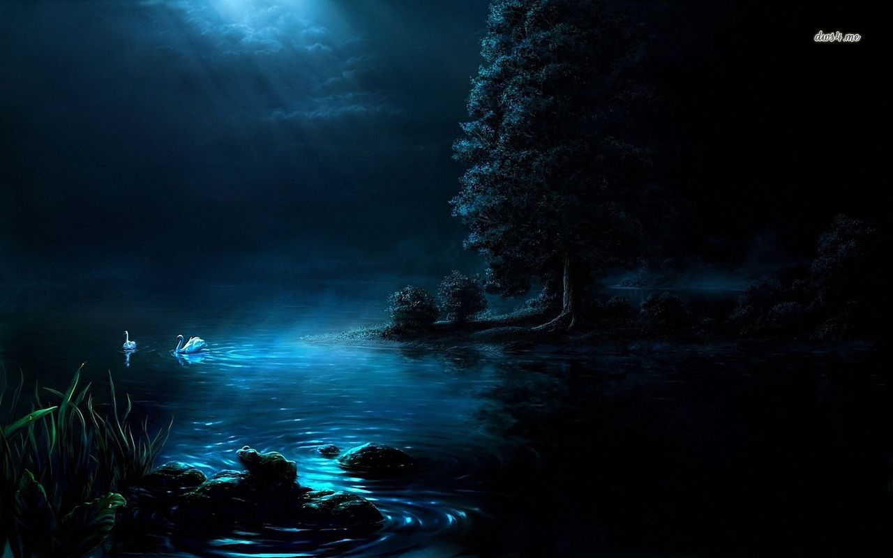 Swans on dark lake HD wallpaper. Art background, Digital art, Art day