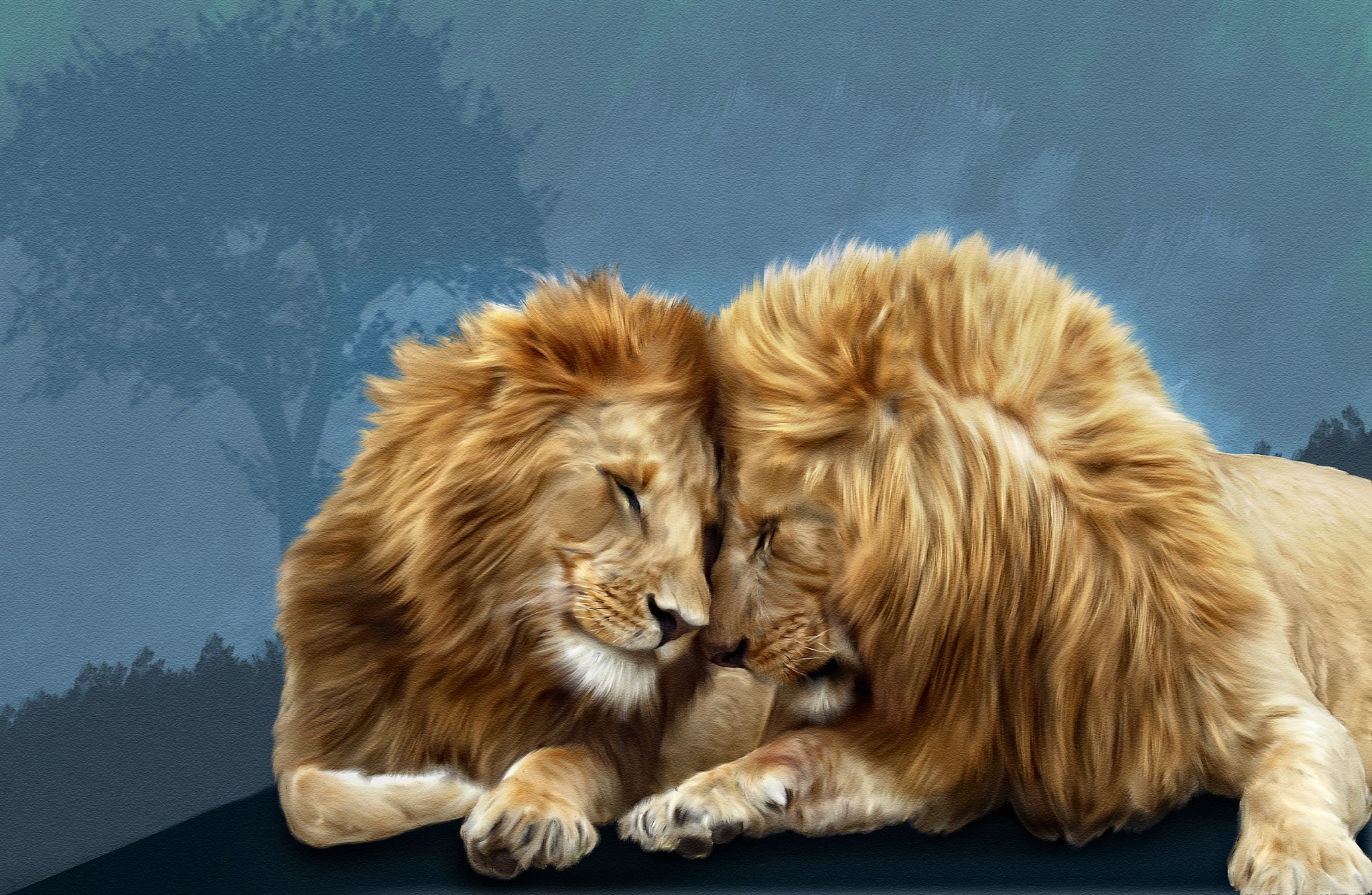 big, Cats, Lions, Two, Animals, Lion Wallpaper HD / Desktop and Mobile Background