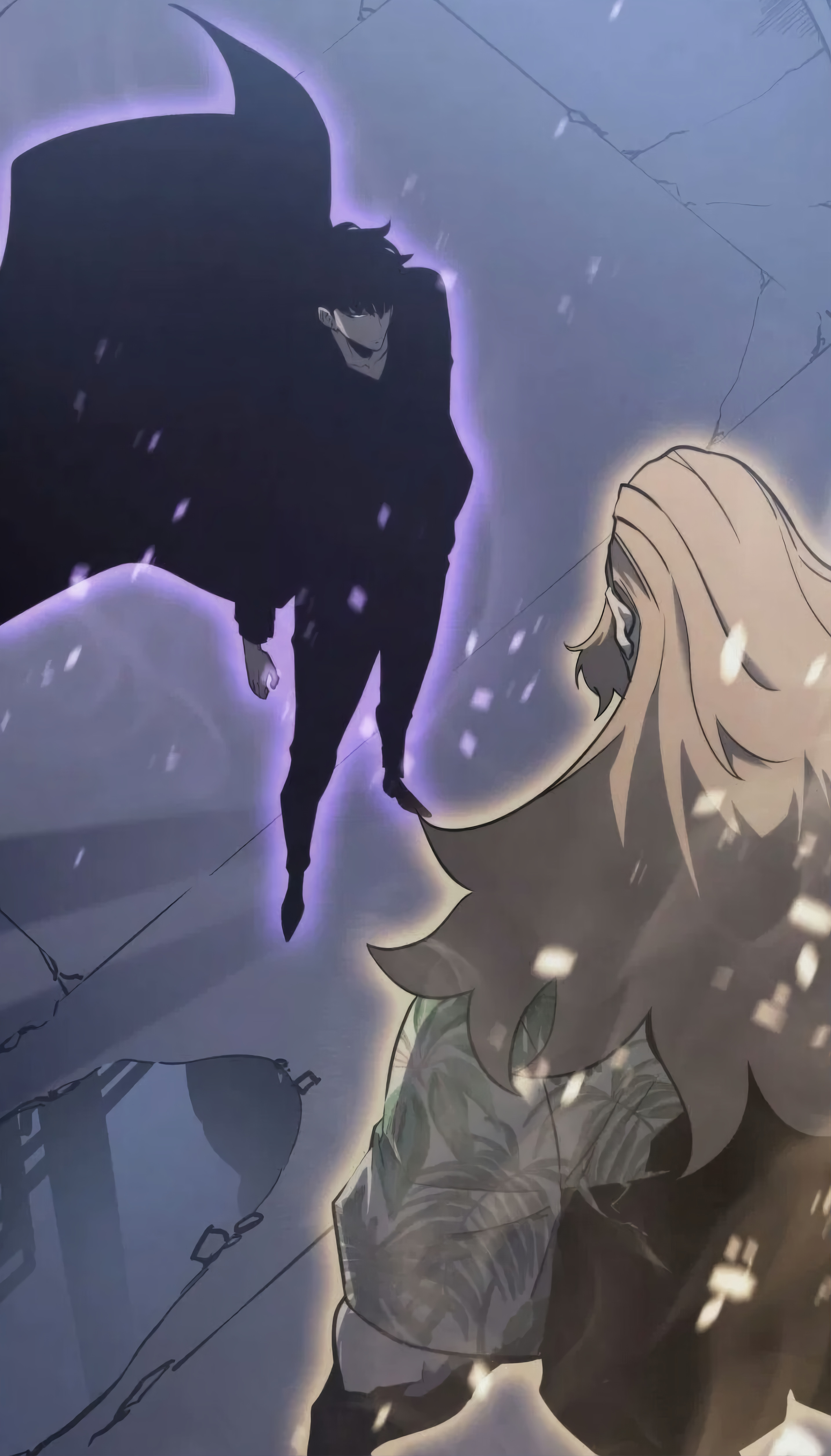 Wallpaper, manhwa, Solo Leveling 2868x5024