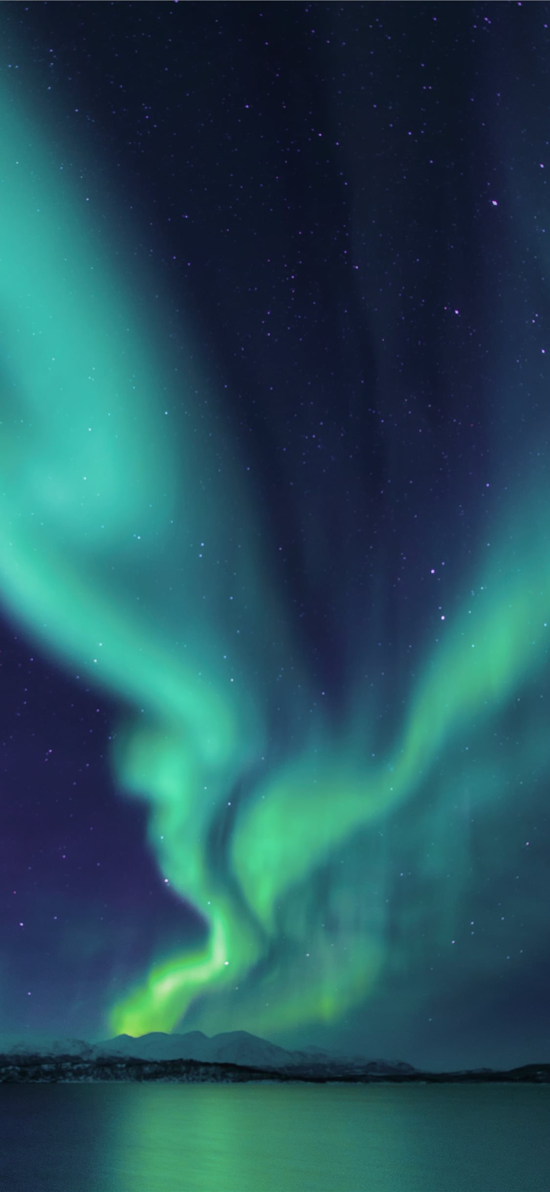 photograph of aurora lights iPhone X Wallpaper Free Download