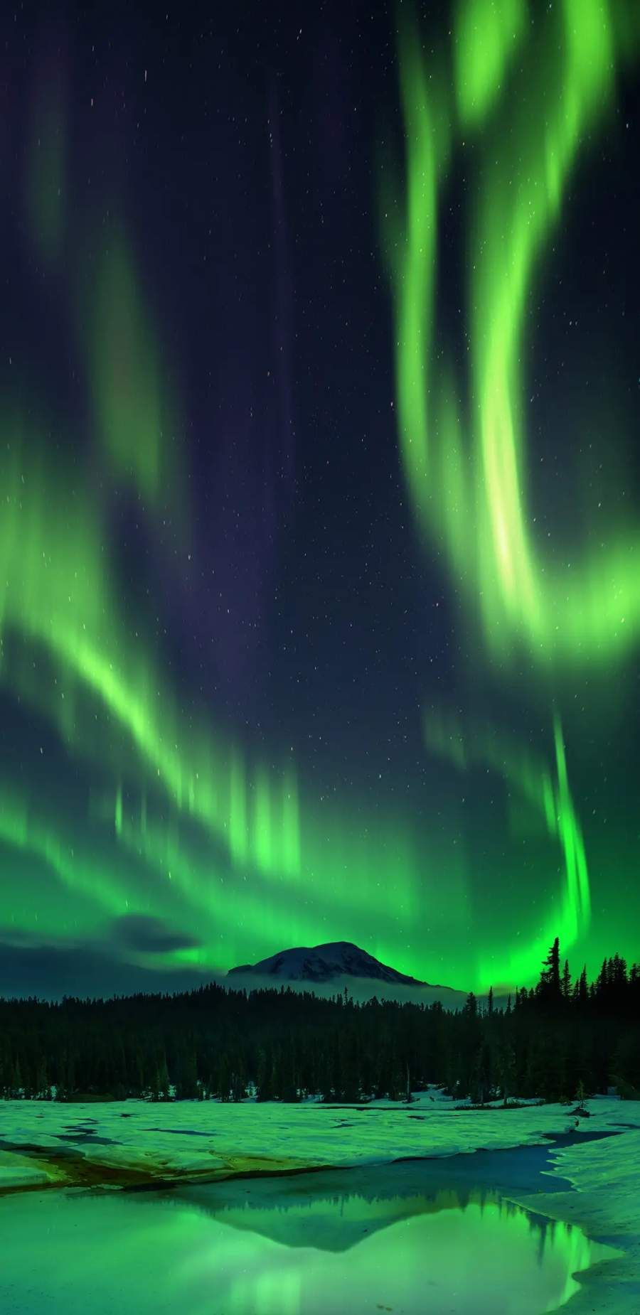 Aurora Borealis Snow Night iPhone Wallpaper. Snow night, Northern lights wallpaper, iPhone wallpaper winter