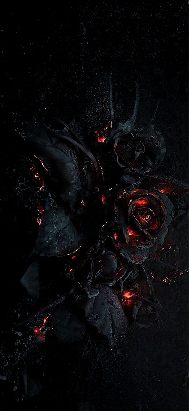 HD Wallpaper For iPhone Xr- Gothic wallpaper, Black roses wallpaper, Rose wallpaper