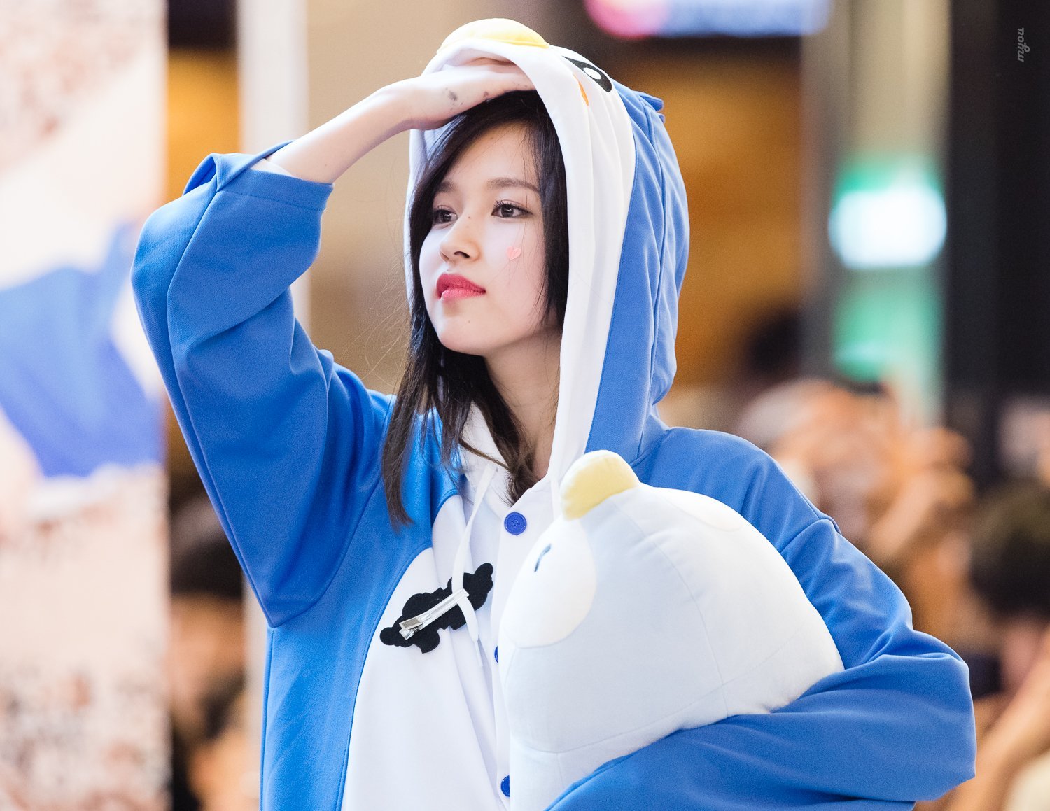 Mina, the most attractive penguin in the world. 