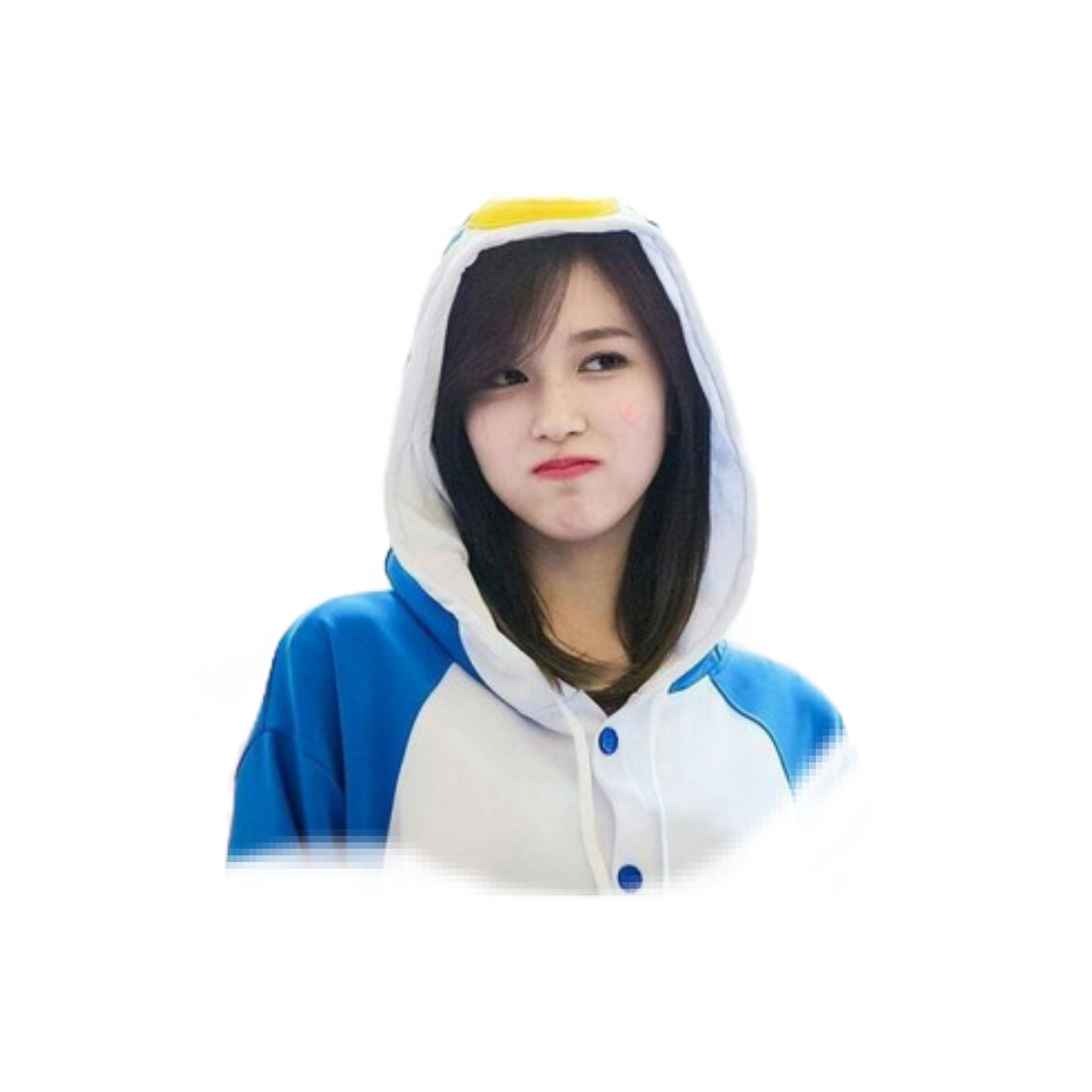 Mina Twice Once Pinguino Sticker