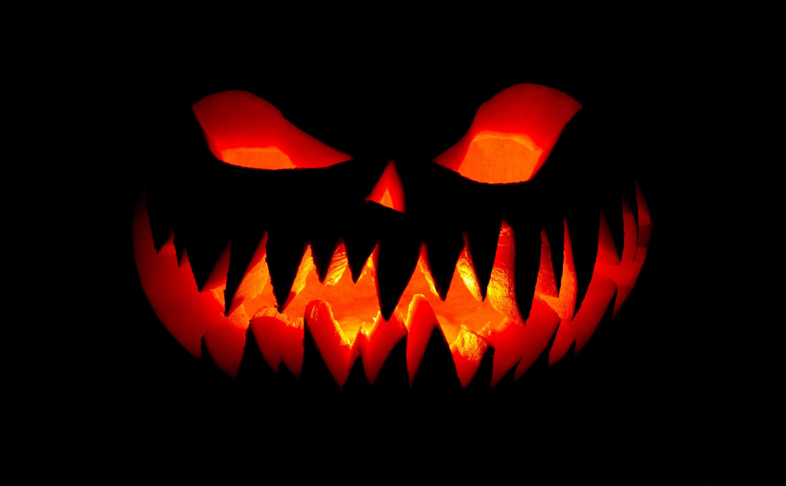 Wallpaper Happy Halloween, Black Jack O Lantern • Wallpaper For You HD Wallpaper For Desktop & Mobile
