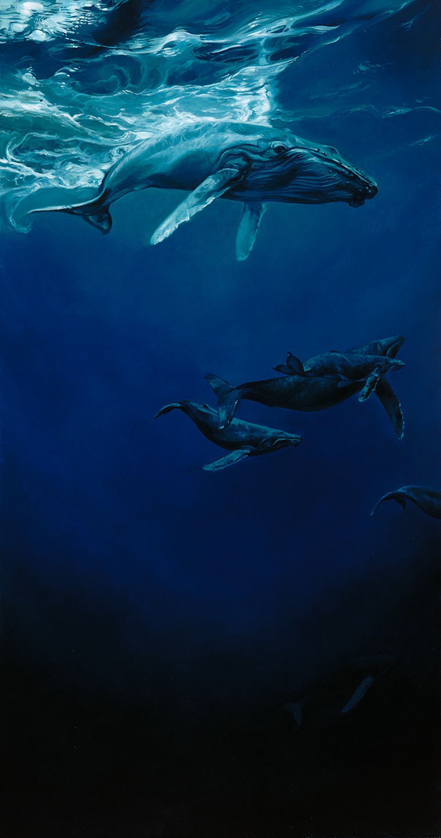Ocean animal cute blue deep whale wallpaperx2732