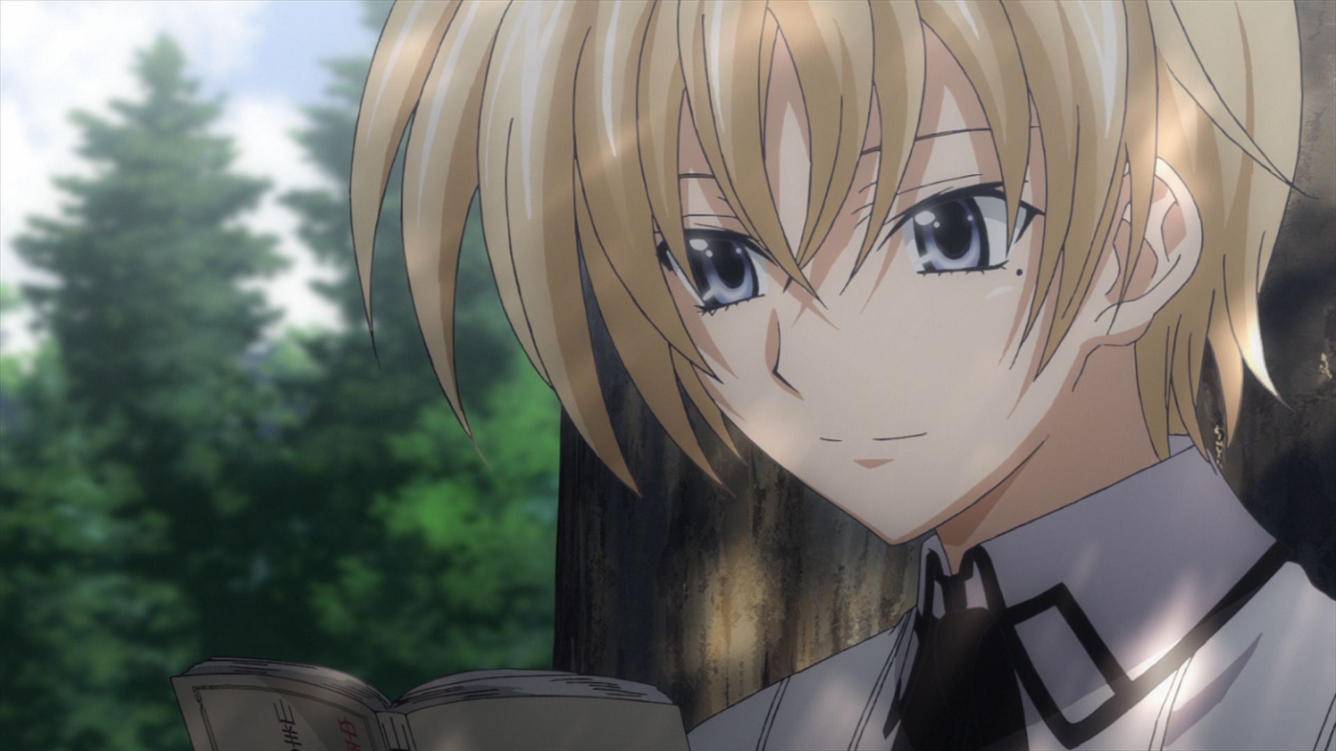 Vali Lucifer / Yuuto Kiba ideas. highschool dxd, dxd, anime high school