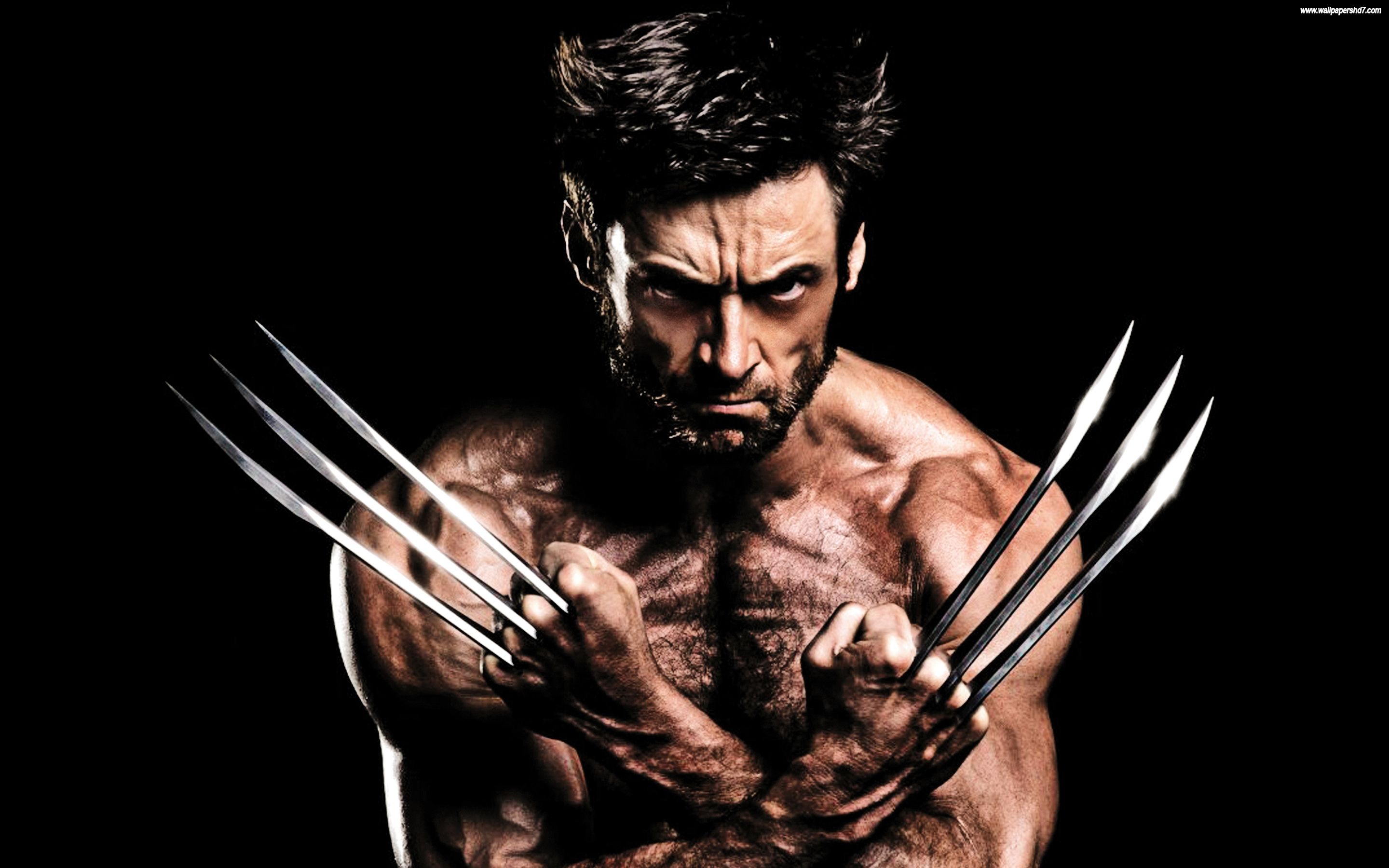 Wolverine Men Fullscreen Wallpaper 3468 HD Wallpaper