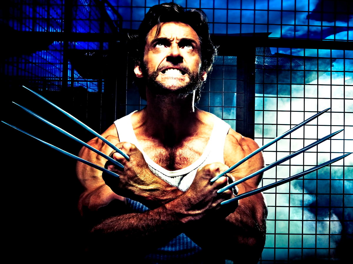 Wallpaper Hugh Jackman, X Men, Wolverine. TOP Free background