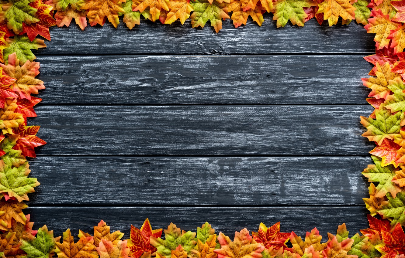 Wallpaper autumn, leaves, background, Board, colorful, maple, wood, background, autumn, leaves, autumn, maple image for desktop, section текстуры