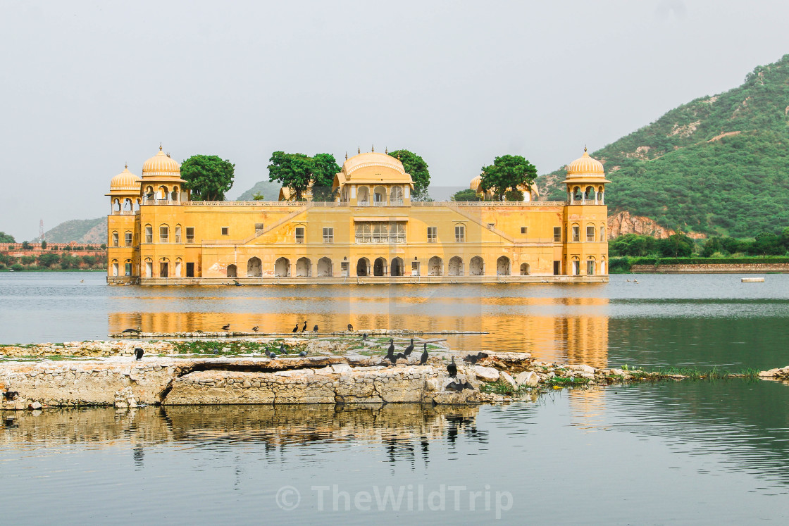 The Jal Mahal in Jaipur, download or print for £12.40