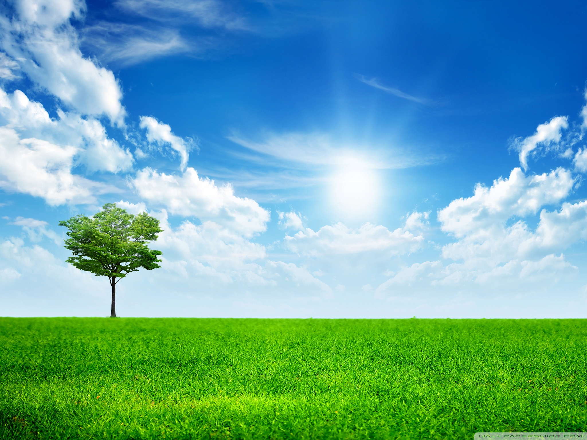 Green Nature Ultra HD Desktop Background Wallpaper for: Multi Display, Dual Monitor, Tablet
