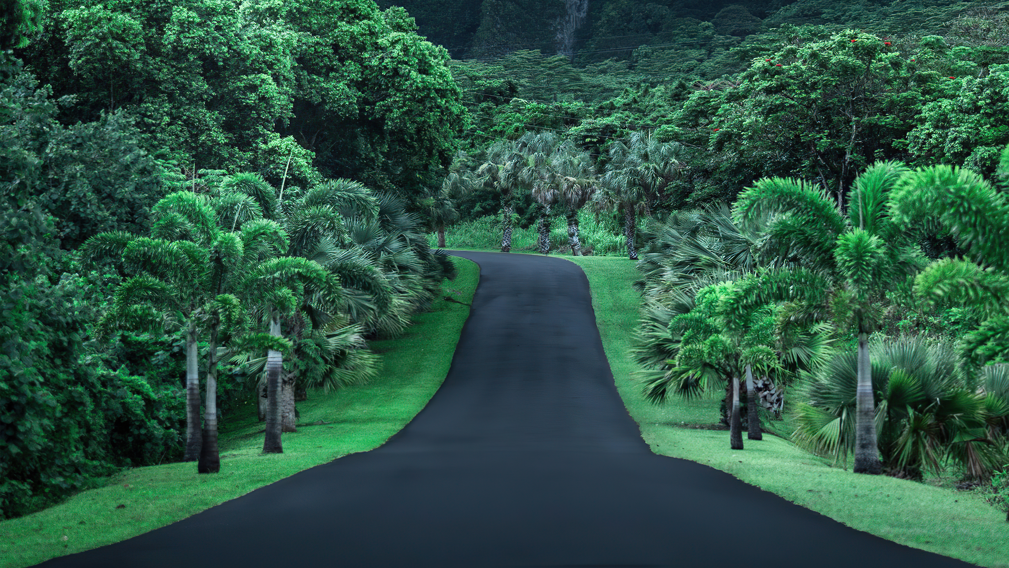 Green Road Nature 4k, HD Nature, 4k Wallpaper, Image, Background, Photo and Picture