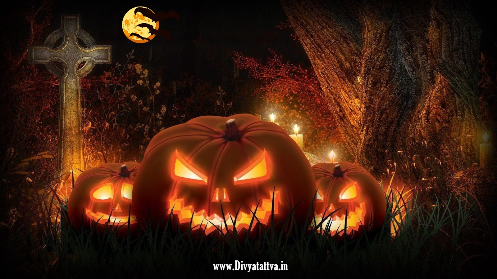 Happy Halloween HD Wallpaper and Background Image Free Download