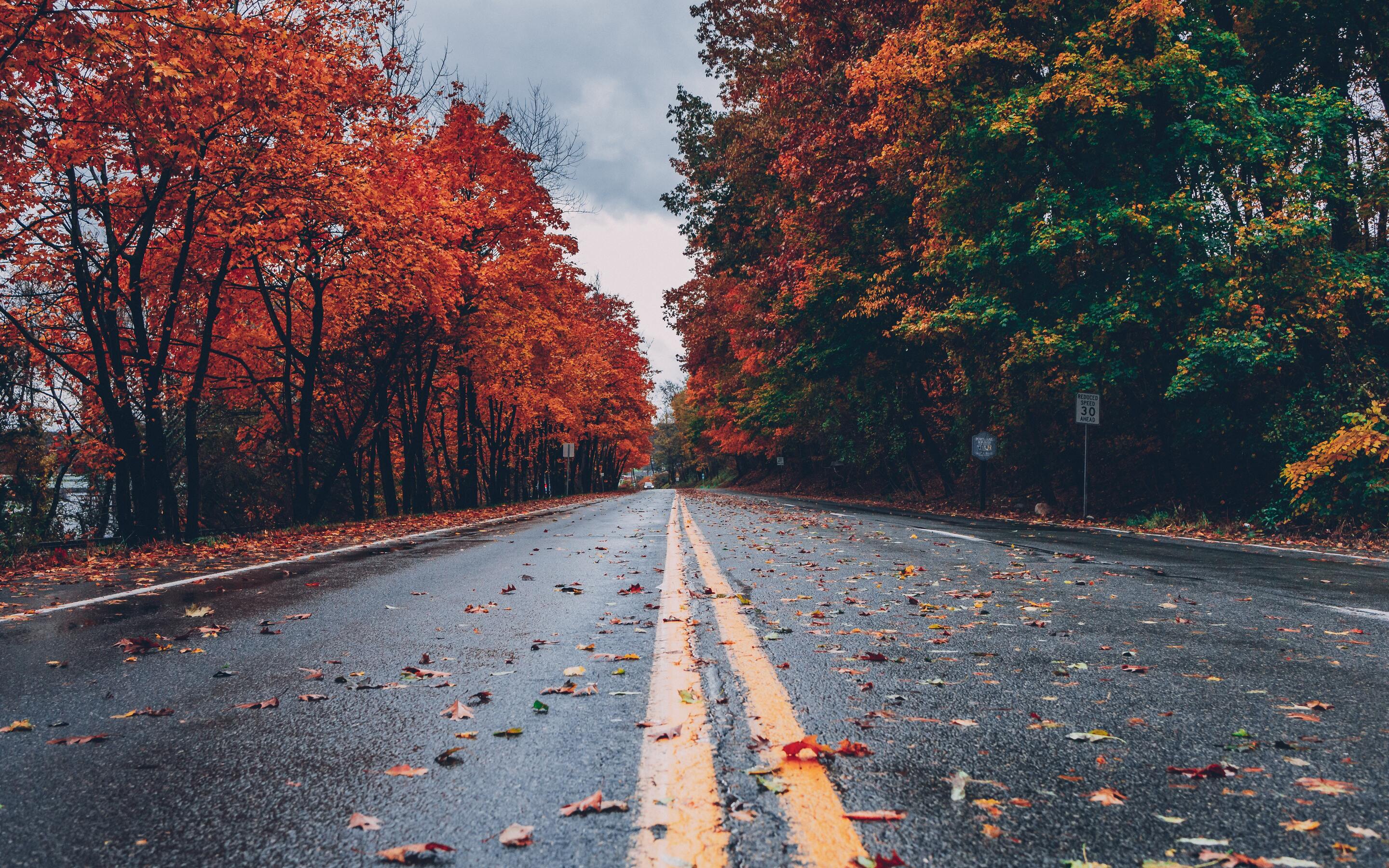 Road Between Autumn Trees 5k Macbook Pro Retina HD 4k Wallpaper, Image, Background, Photo and Picture