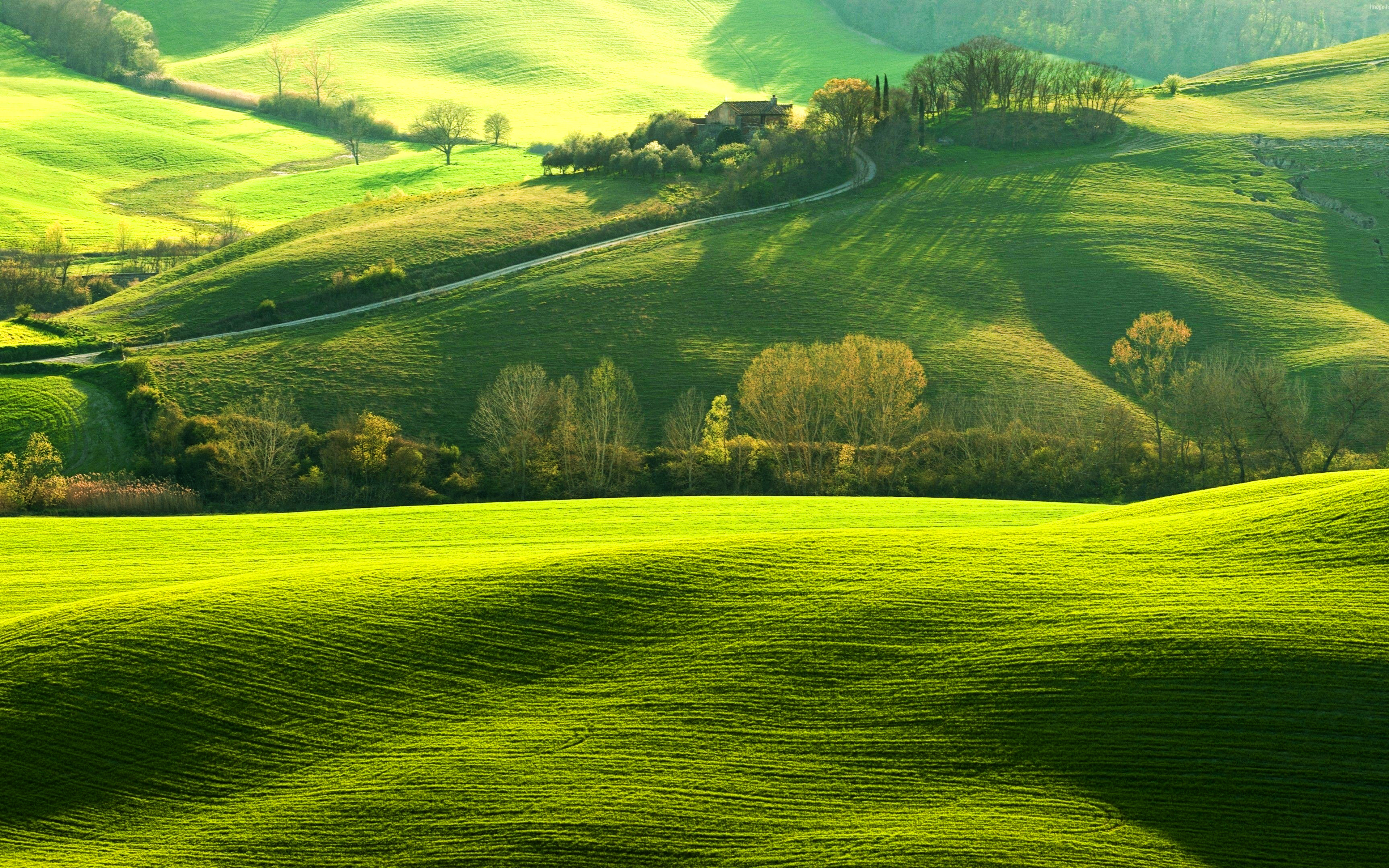 Download wallpaper Tuscany, 4k, summer, beautiful nature, green hills, Italy, Europe for desktop with resolution 3840x2400. High Quality HD picture wallpaper