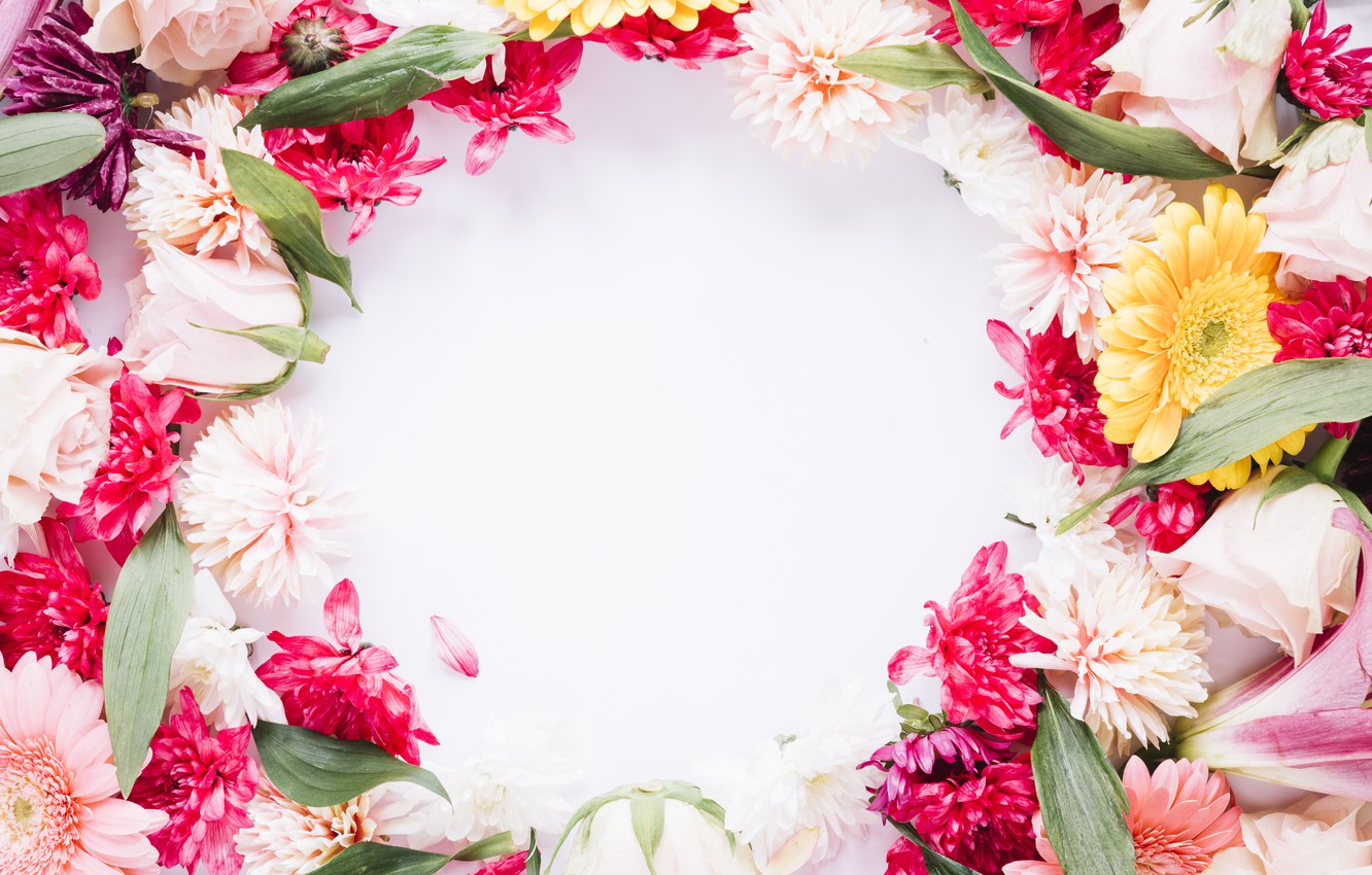Wallpaper flowers, frame, colorful, pink, flowers, frame, floral image for desktop, section цветы