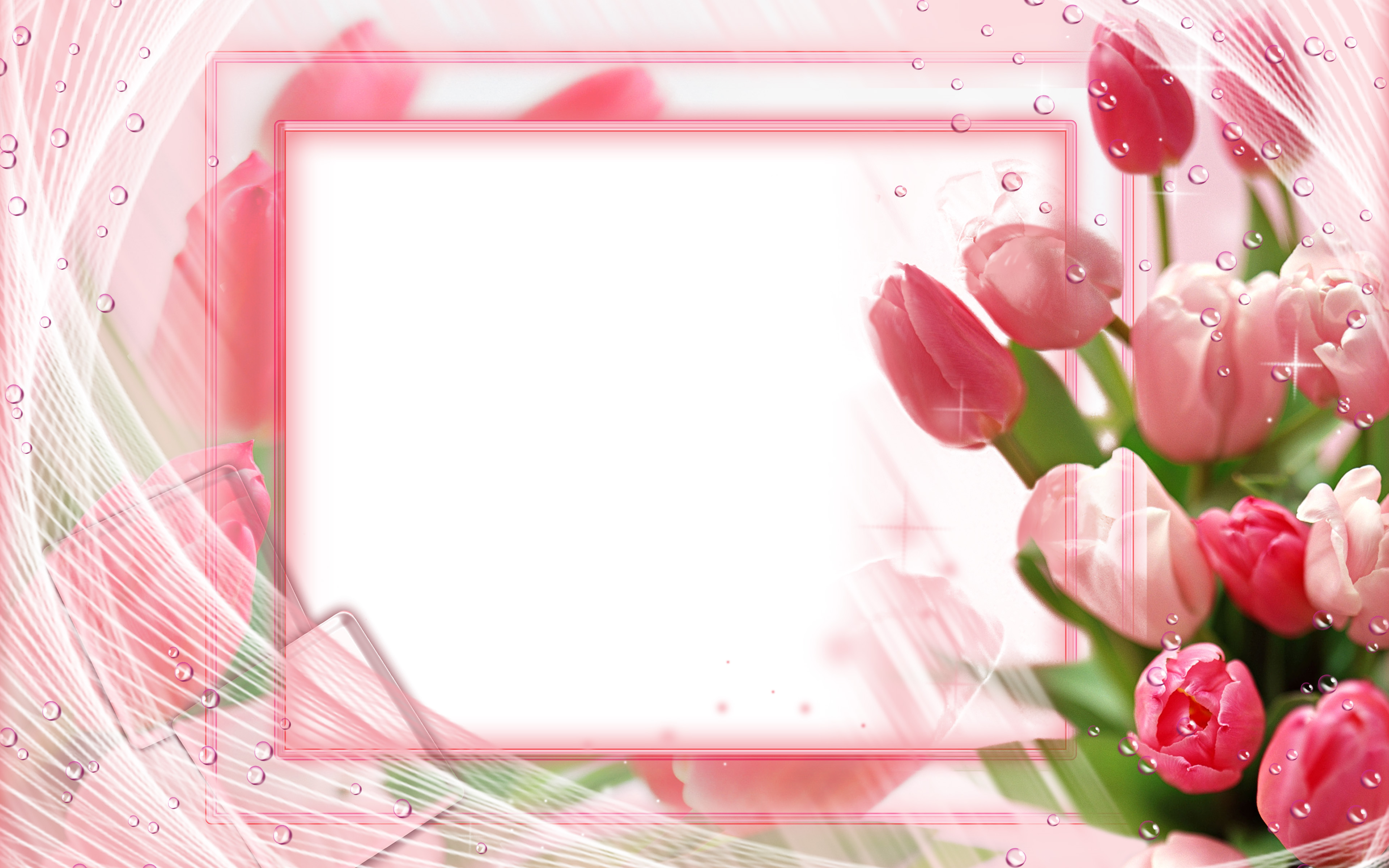 Download wallpaper pink tulips frame, 4k, floral concepts, floral frames, white background, pink flowers, pink floral frame for desktop with resolution 3840x2400. High Quality HD picture wallpaper