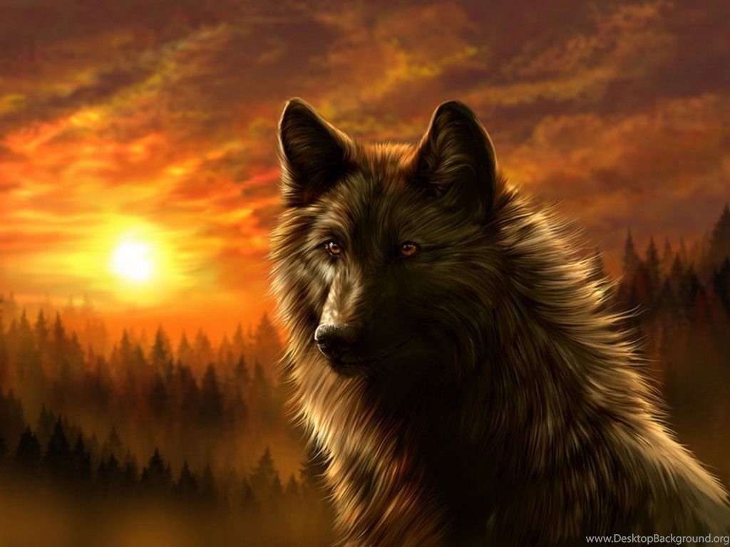 Dark Wolf Wallpaper Best HD Wallpaper Desktop Background