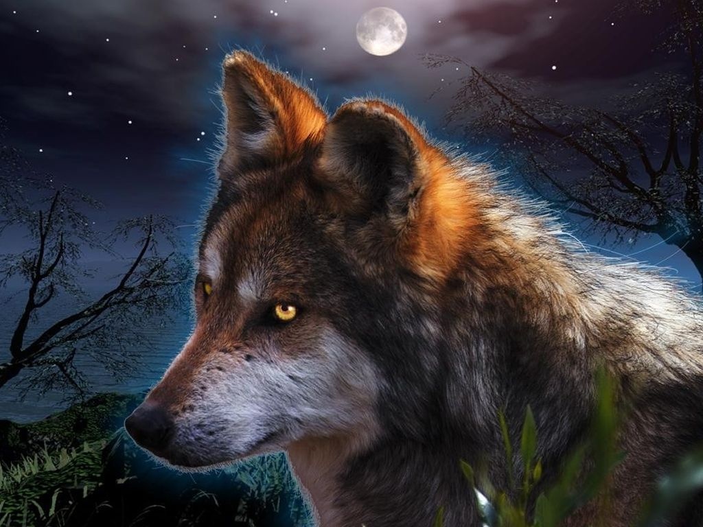 Free download Download Fantasy Wolf Wallpaper 1024x768 Full HD Wallpaper [1024x768] for your Desktop, Mobile & Tablet. Explore Free Wallpaper Wolves. Wolf Wallpaper Free Download, Live Wolf Wallpaper Free