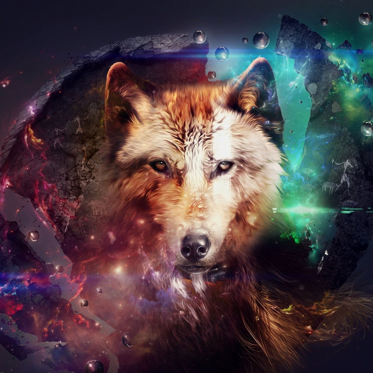 Brown Wolf Wallpapers - Wallpaper Cave