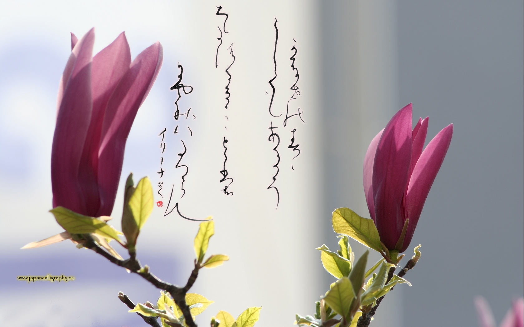 Japanese calligraphy desktop wallpaper Seasons