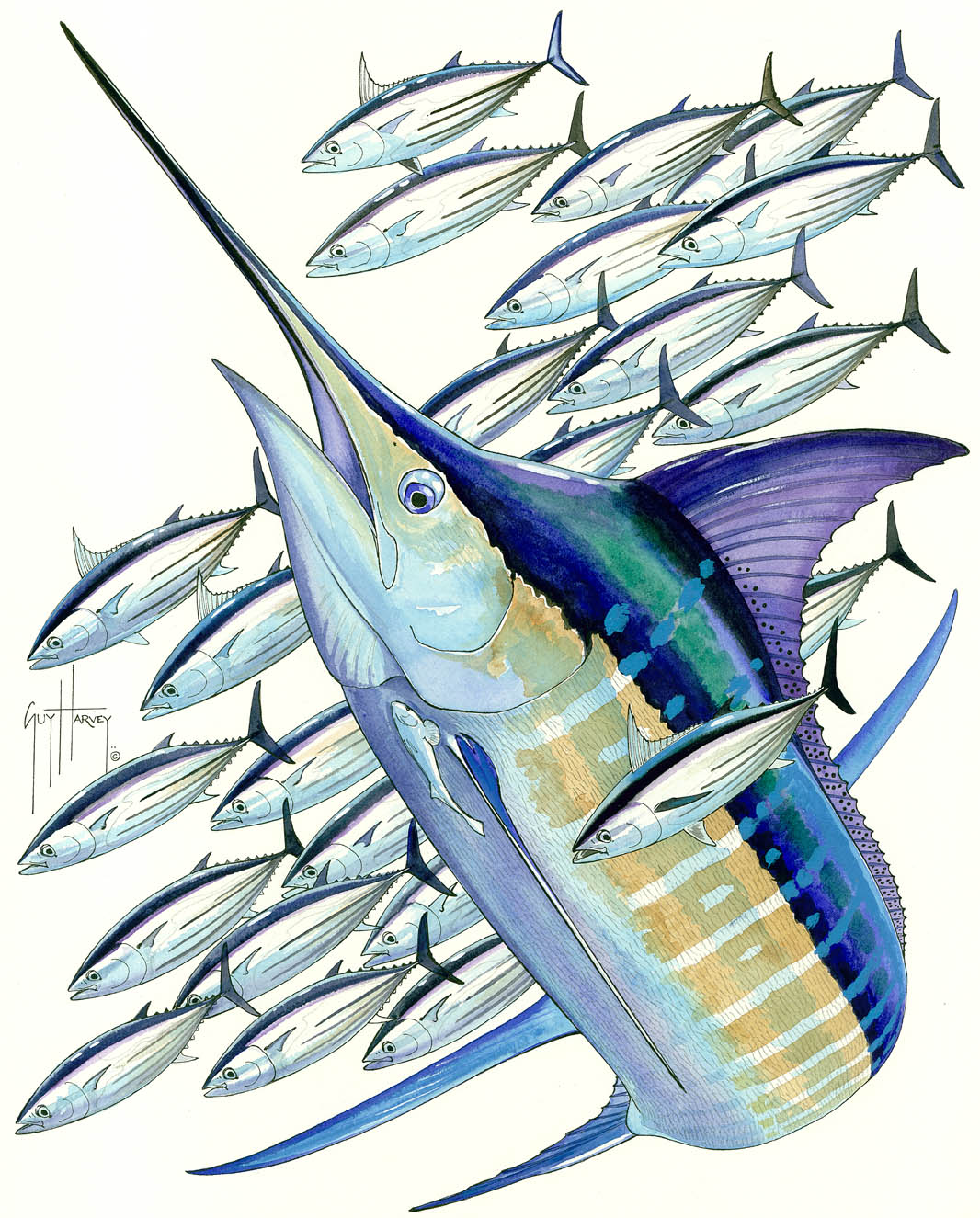 Blue Marlin Drawings Harvey Wallpaper iPhone