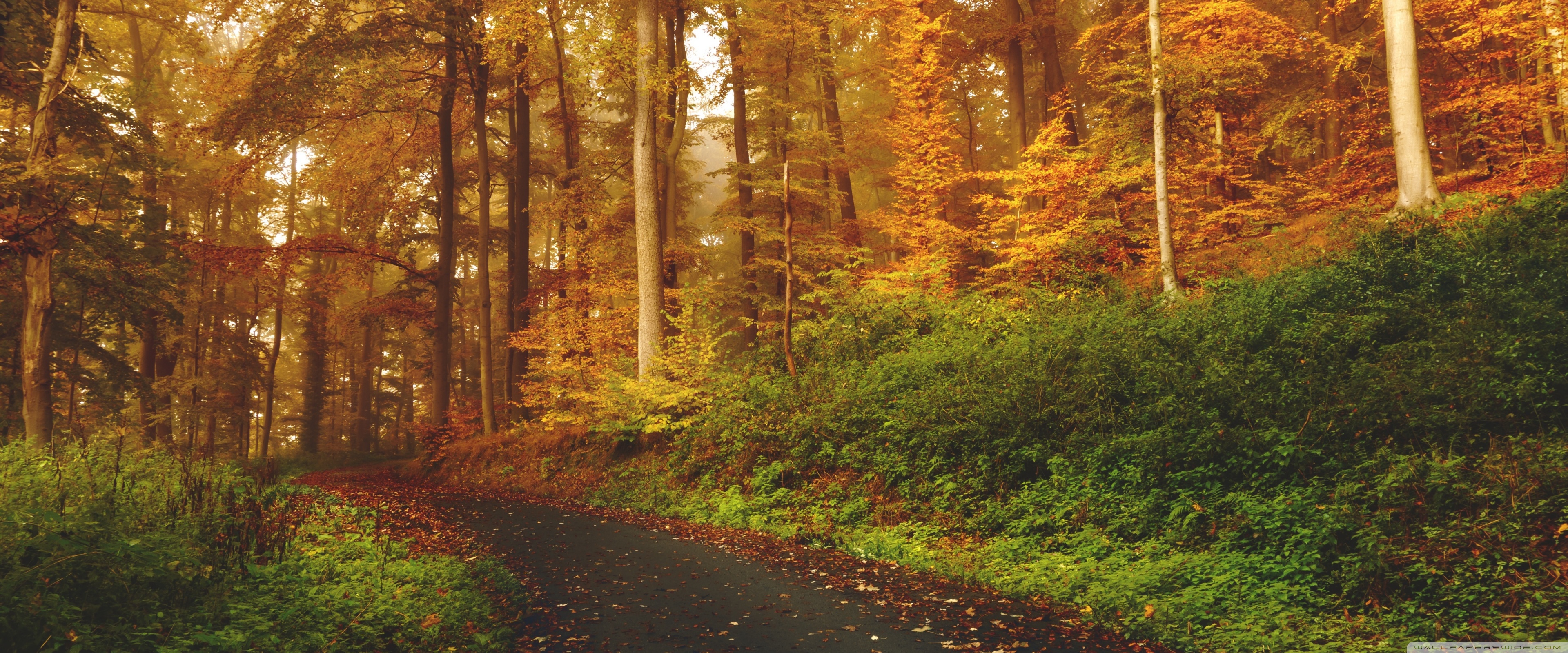 Transition Ultra HD Desktop Background Wallpaper for 4K UHD TV, Widescreen & UltraWide Desktop & Laptop, Multi Display, Dual Monitor, Tablet