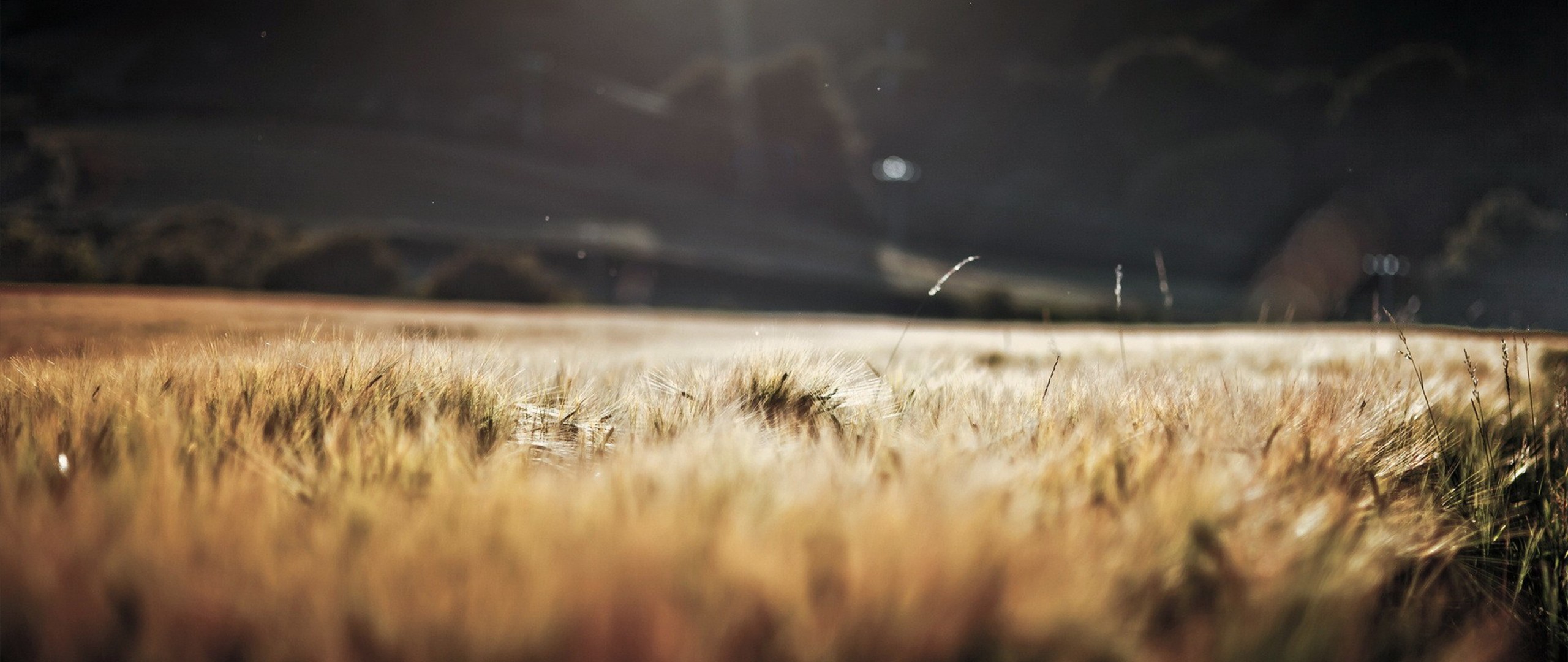 Ultra Wide Autumn Wallpaper