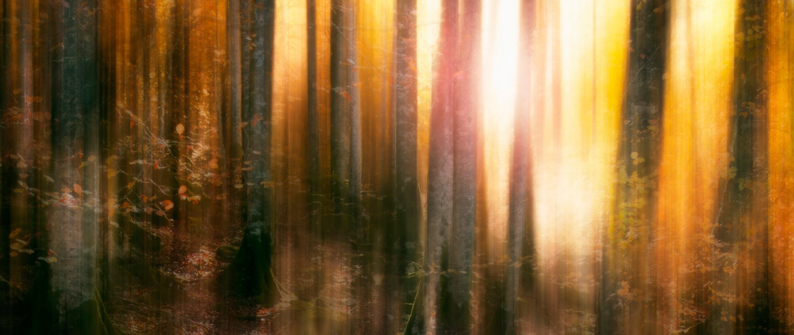 Download Autumn, blur, forest, trees wallpaper, 2560x1080, Dual Wide, Widescreen