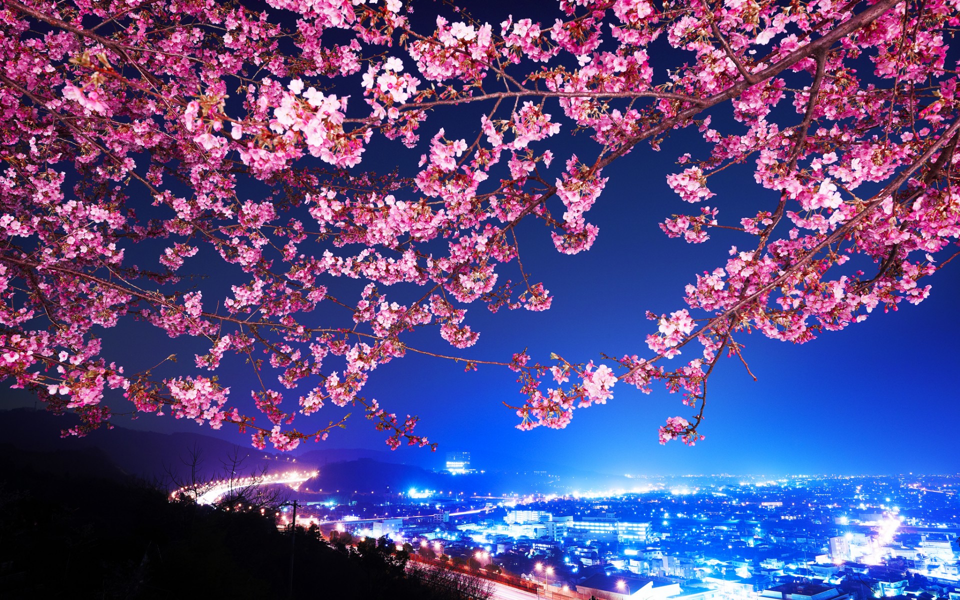 mimura, Japan, Sakura, Cherry, Blossom, Highway, City, Night, Trees, Flowers, Blossoms Wallpaper HD / Desktop and Mobile Background