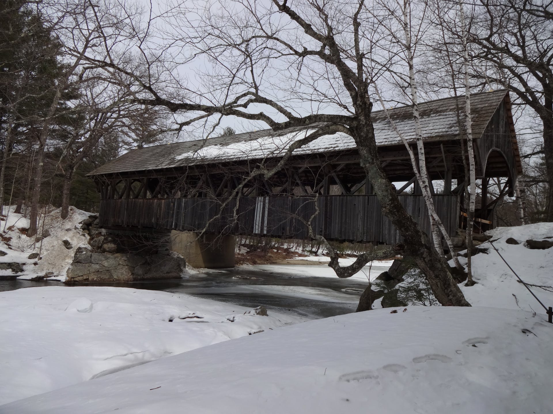 Snowycene Bare Trees Frozen River Winter Covered Bridge