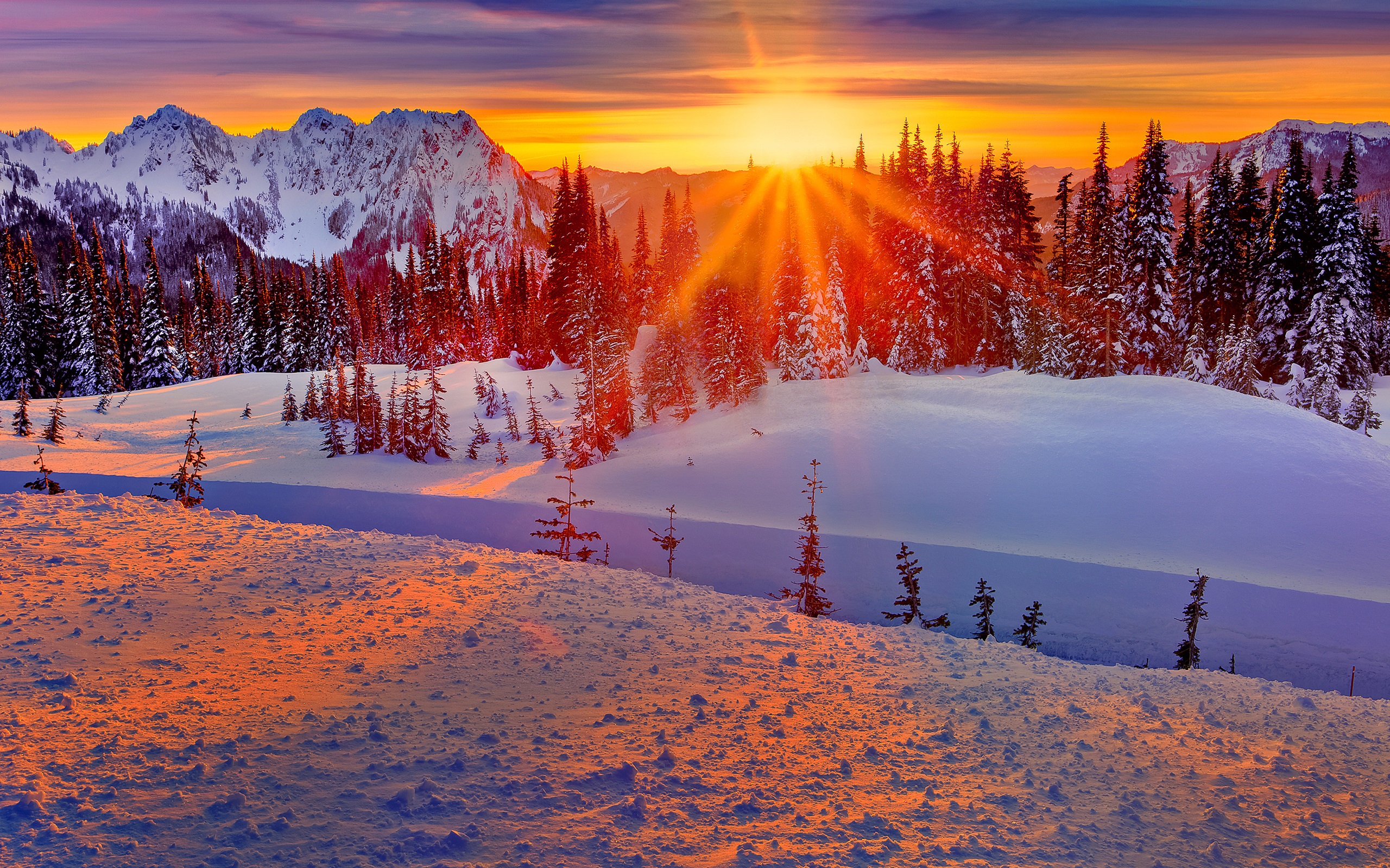 Wallpaper Washington, USA, winter, mountains, trees, snow, sunset 2560x1600 HD Picture, Image