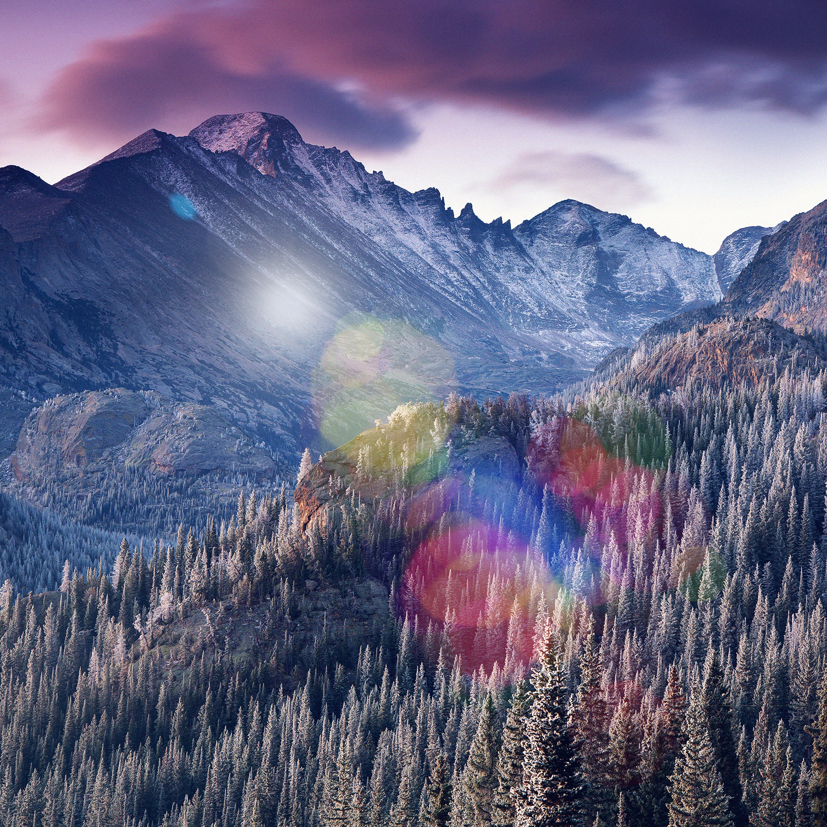 Winter Mountain Bokeh Woods Tree Nature Cold Wallpaper